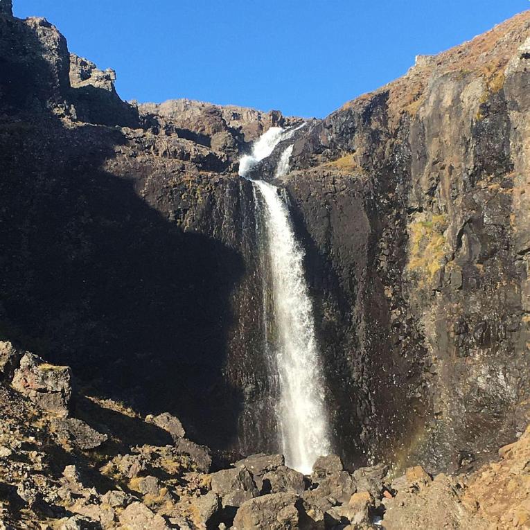 Les Flâneurs: Salon and School of Paris Painters from the 19th and 20th Century